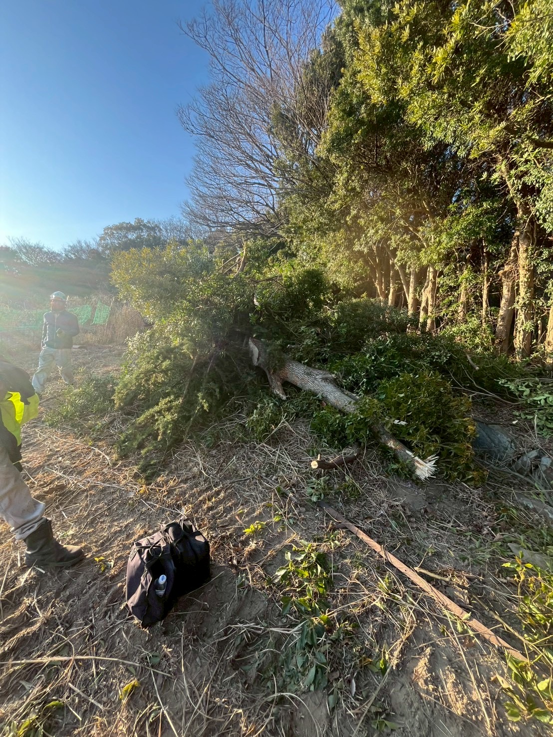 N様邸 草刈り・伐採