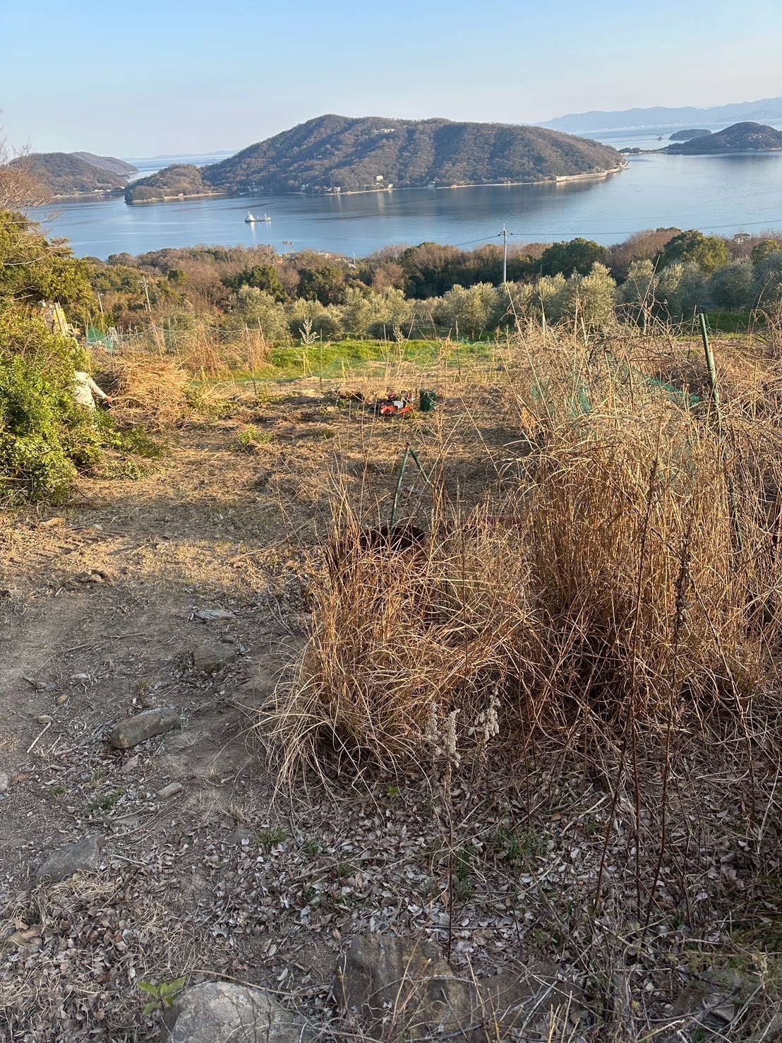 N様邸 草刈り・伐採