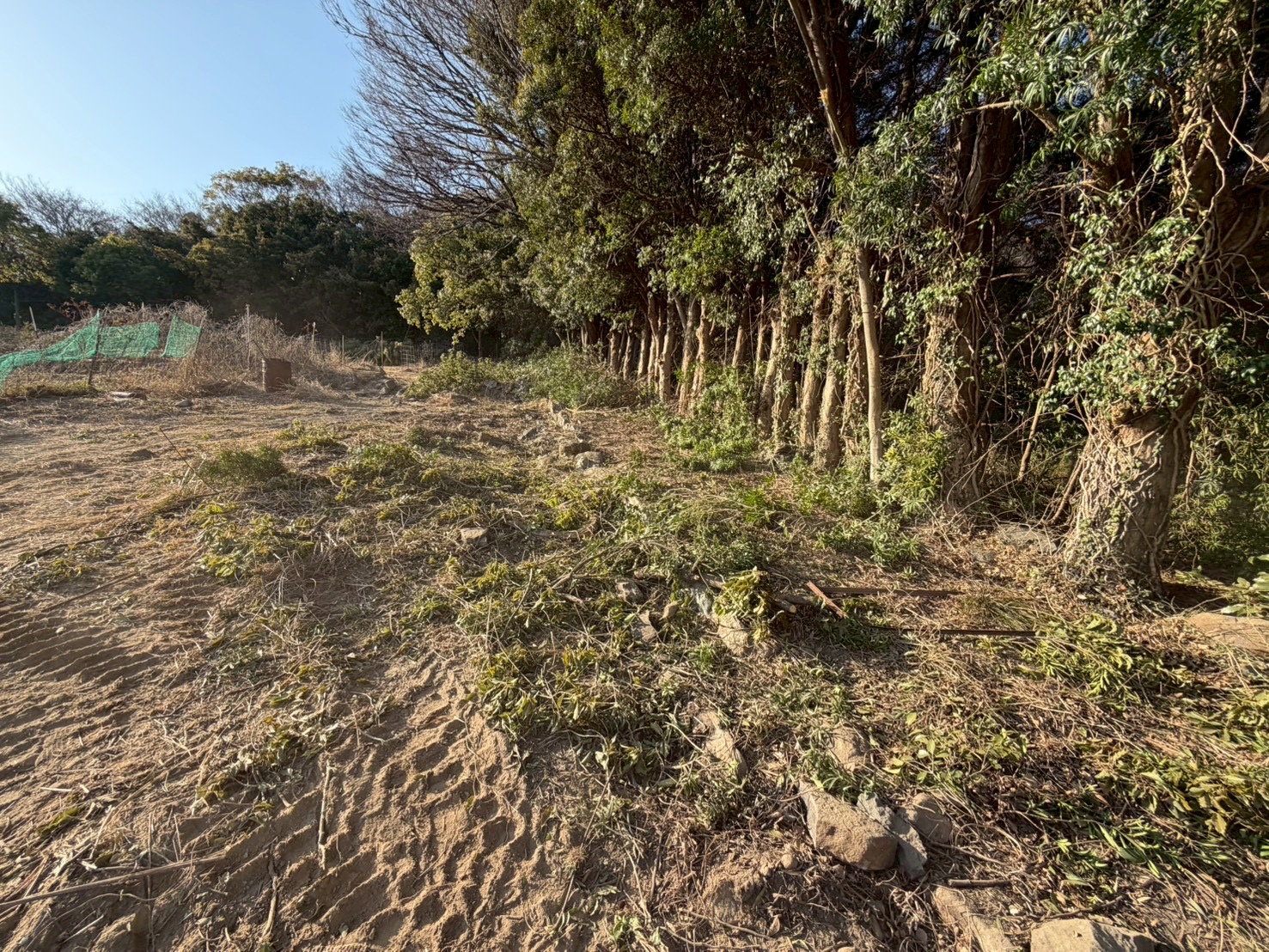 N様邸 草刈り・伐採