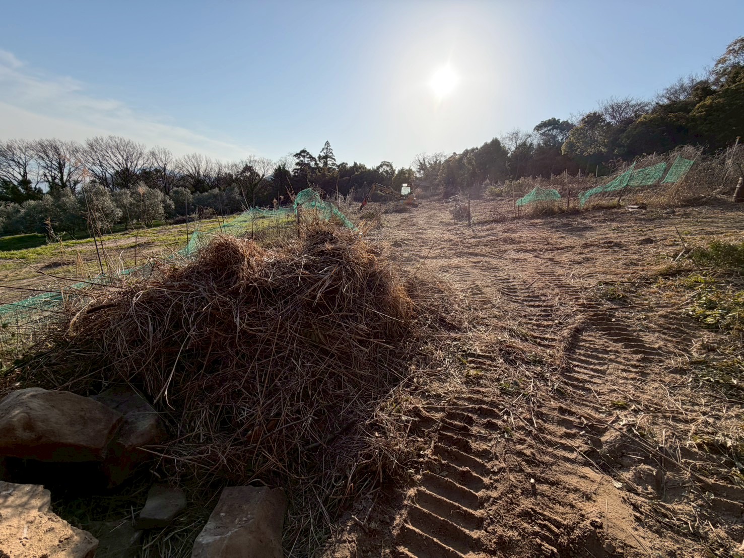 N様邸 草刈り・伐採