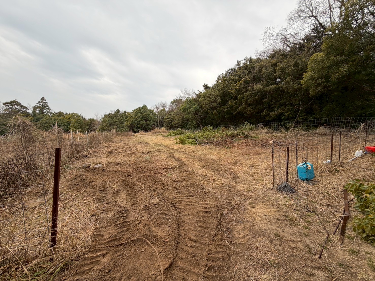 N様邸 草刈り・伐採